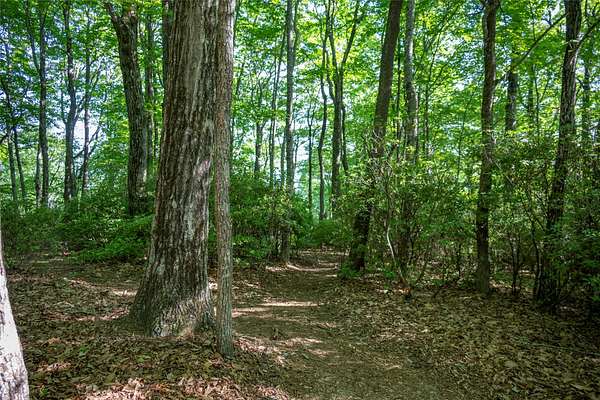 0.82 Acres of Residential Land for Sale in Lake Toxaway, North Carolina