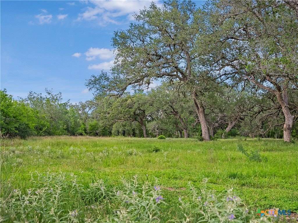 23.9 Acres of Recreational & Residential Land for Sale in Meyersville, Texas