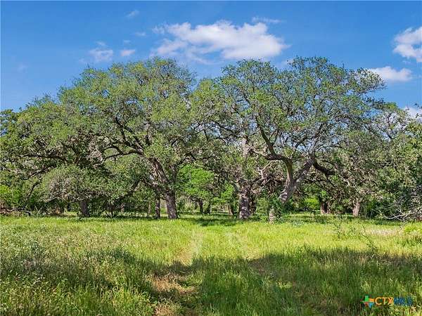 23.9 Acres of Recreational & Residential Land for Sale in Meyersville, Texas