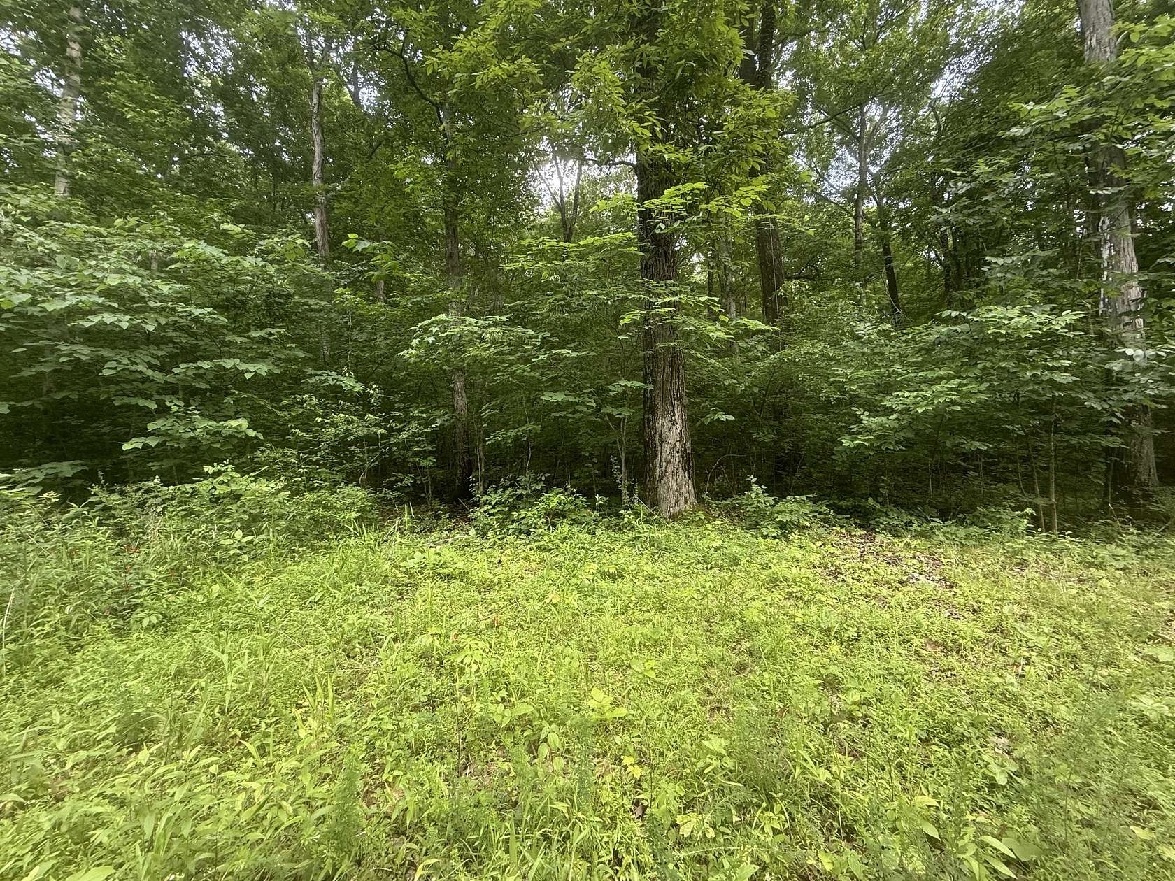 1 Acre of Residential Land for Sale in Stewart, Tennessee