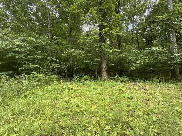 1 Acre of Residential Land for Sale in Stewart, Tennessee