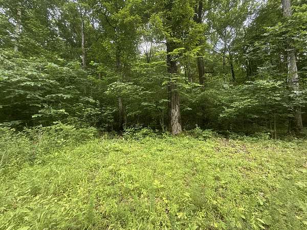 1 Acre of Residential Land for Sale in Stewart, Tennessee