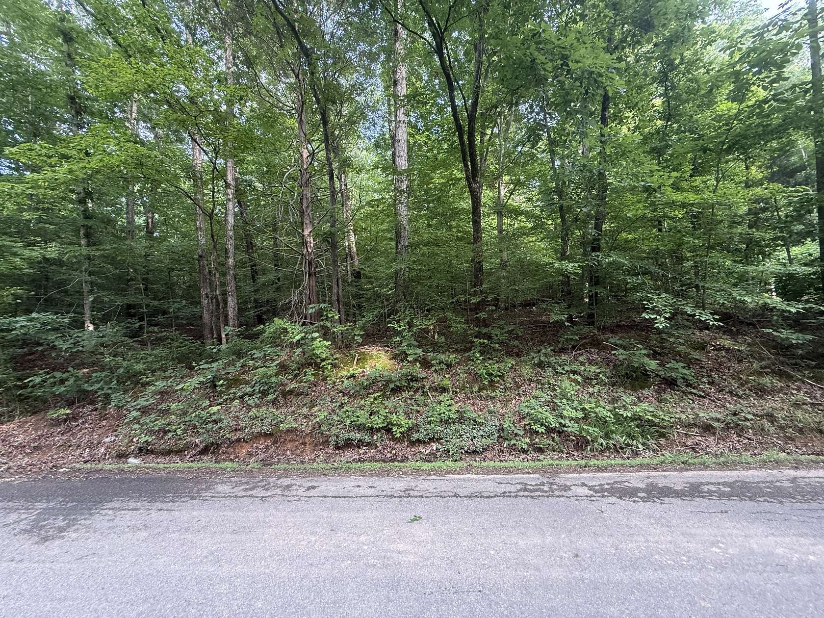 1.6 Acres of Residential Land for Sale in Stewart, Tennessee
