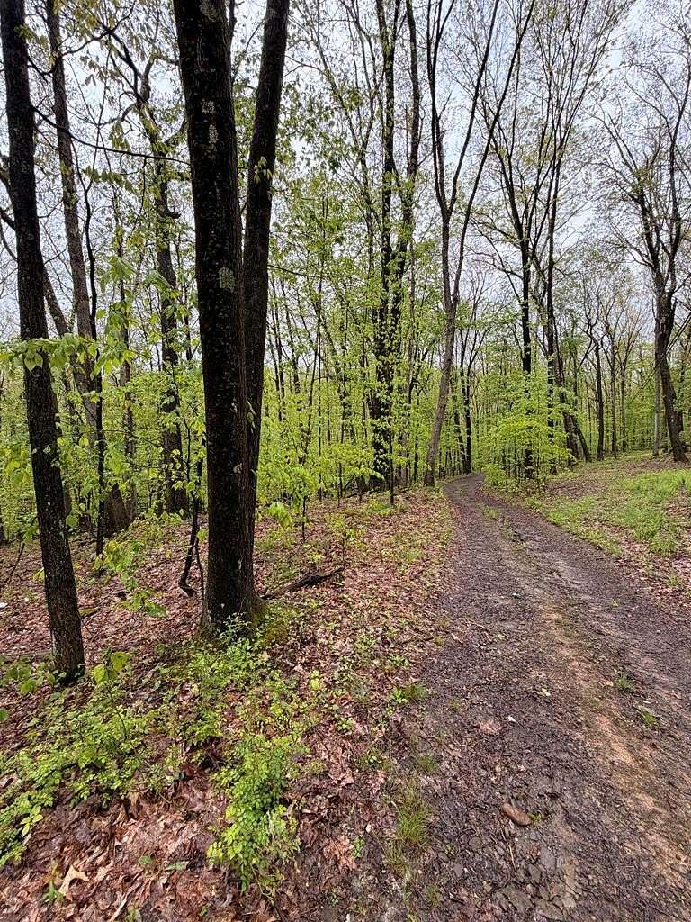 2.3 Acres of Land for Sale in West Hickory, Pennsylvania