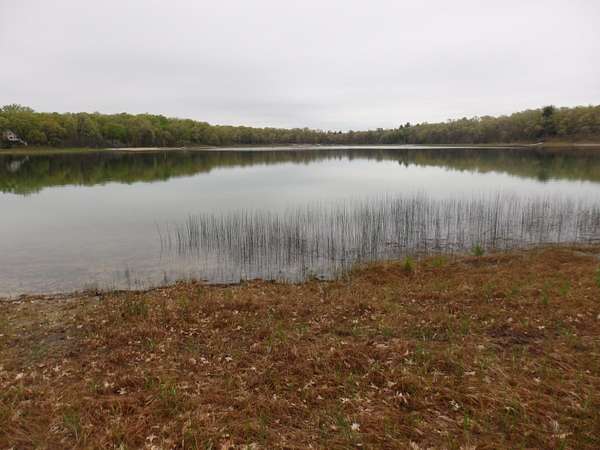 1.78 Acres of Land for Sale in Free Soil, Michigan