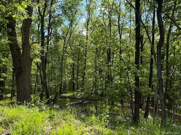 0.4 Acres of Land for Sale in Sloatsburg, New York