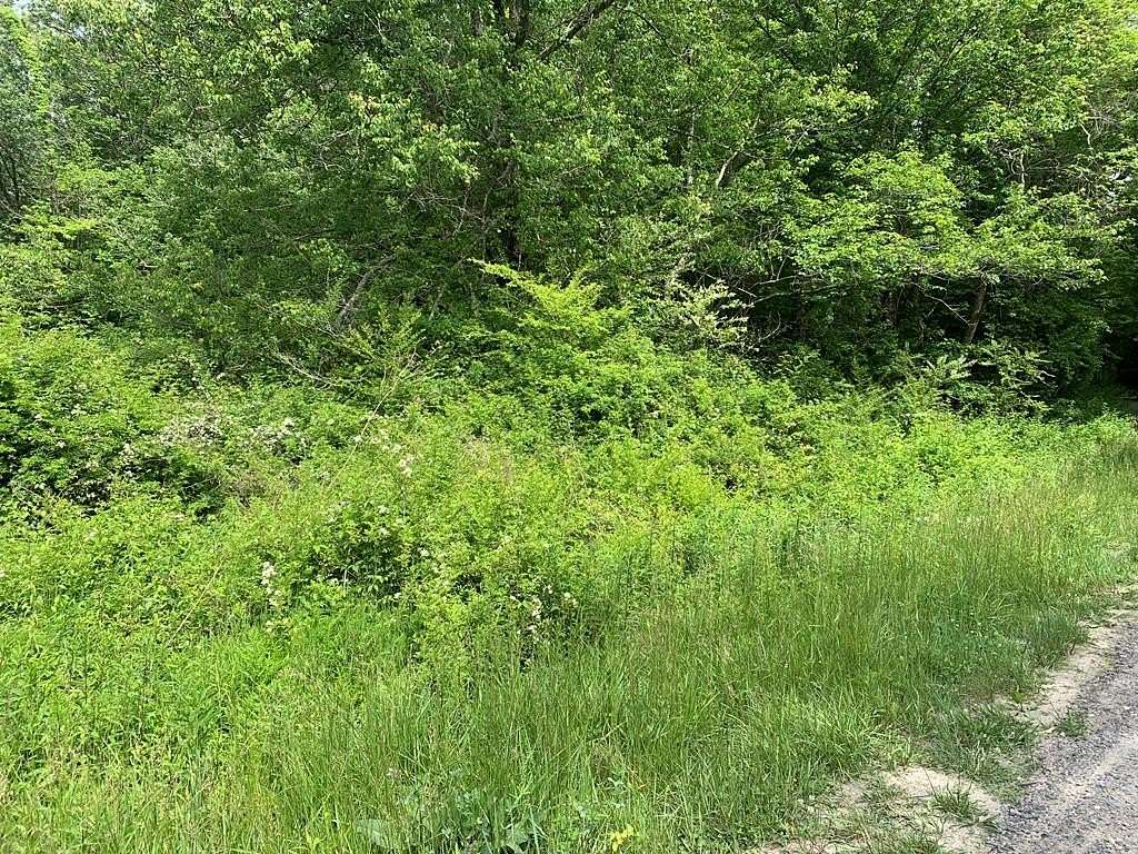 17.8 Acres of Recreational & Residential Land for Sale in Murphy, North Carolina