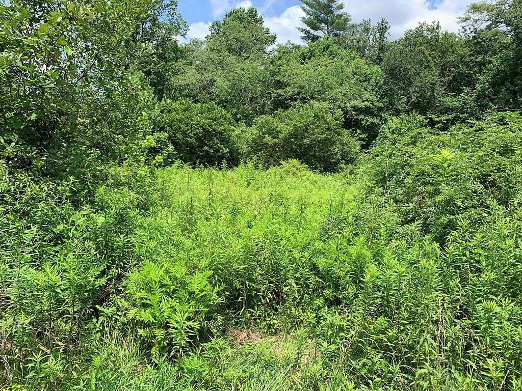 17.8 Acres of Recreational & Residential Land for Sale in Murphy, North Carolina