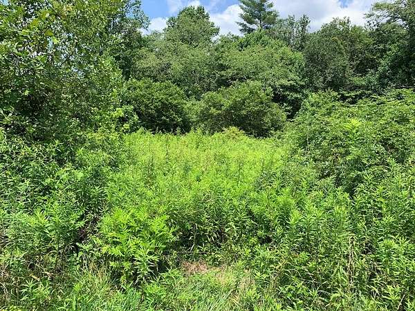 17.8 Acres of Recreational & Residential Land for Sale in Murphy, North Carolina