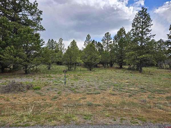 0.34 Acres of Land for Sale in Ridgway, Colorado
