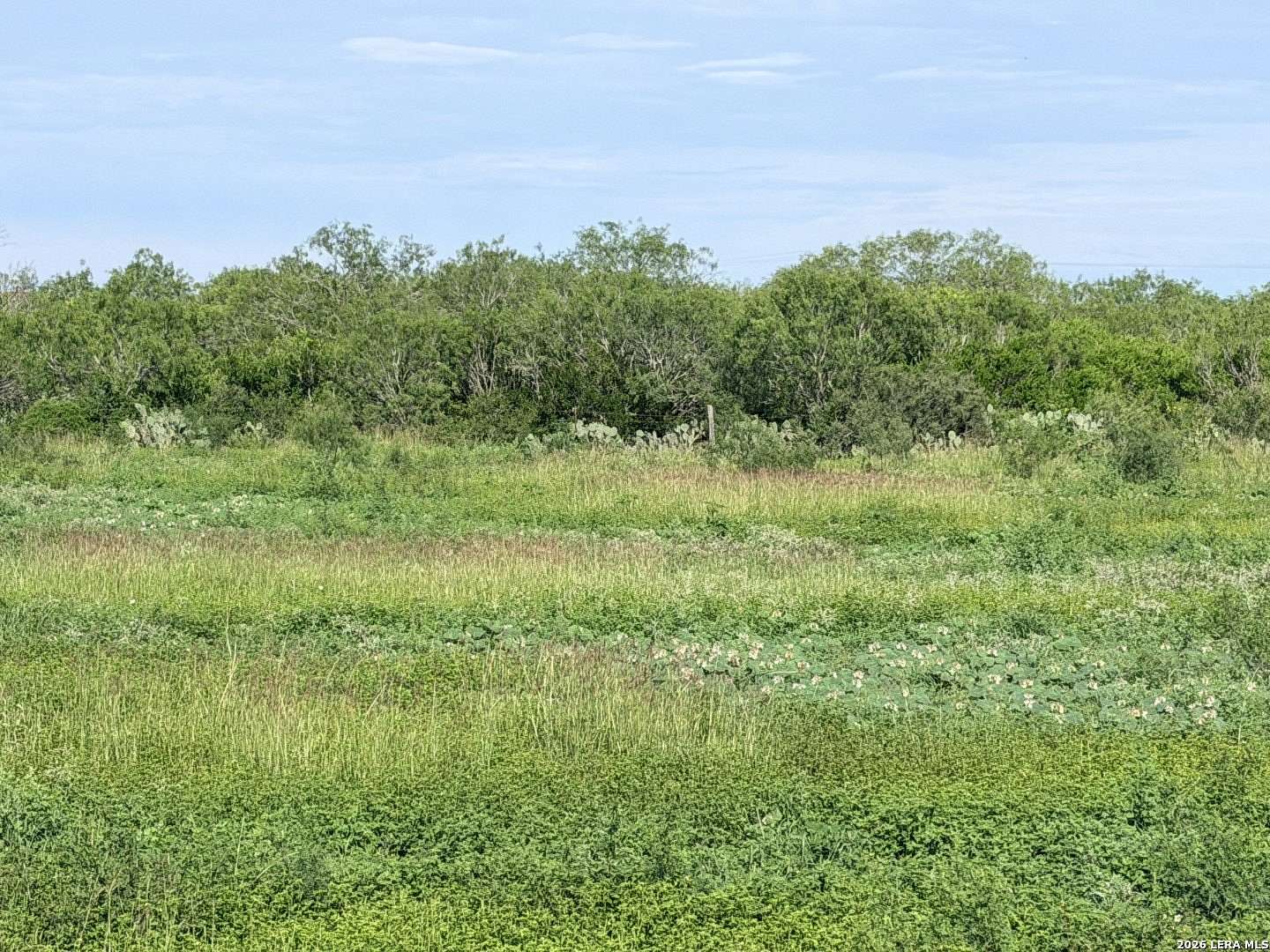 11.5 Acres of Land for Sale in Poteet, Texas