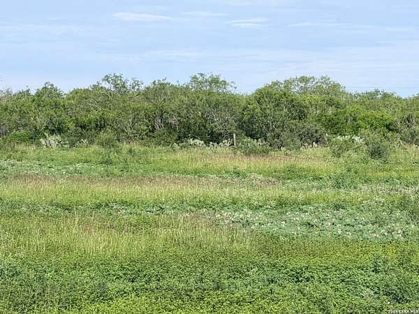 11.5 Acres of Land for Sale in Poteet, Texas