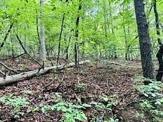 0.58 Acres of Residential Land for Sale in Blue Ridge, Georgia