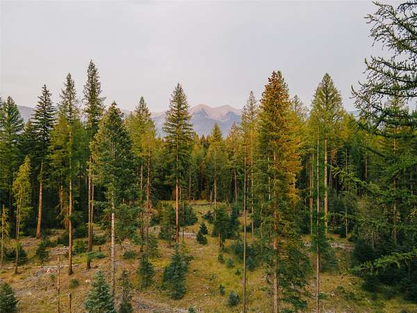 40.4 Acres of Recreational & Residential Land for Sale in Condon, Montana