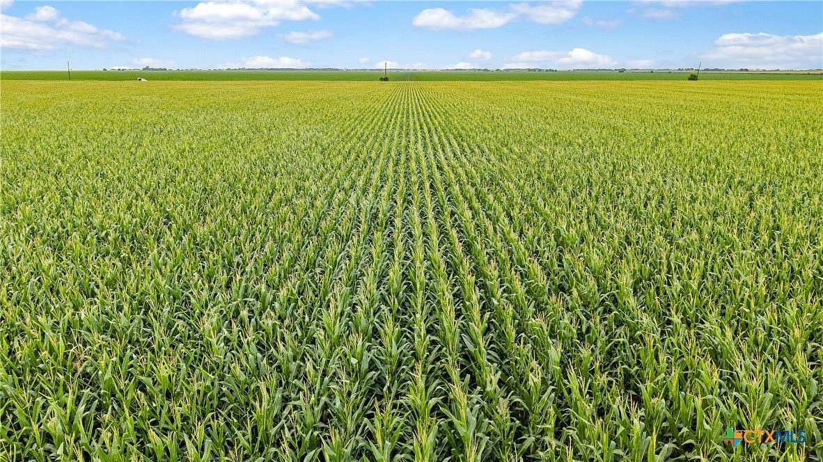 160 Acres of Land for Sale in Louise, Texas