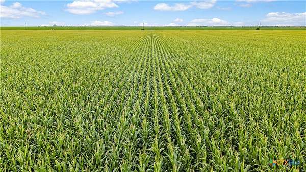 160 Acres of Land for Sale in Louise, Texas