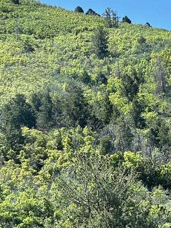 16 Acres of Land for Sale in Indianola, Utah
