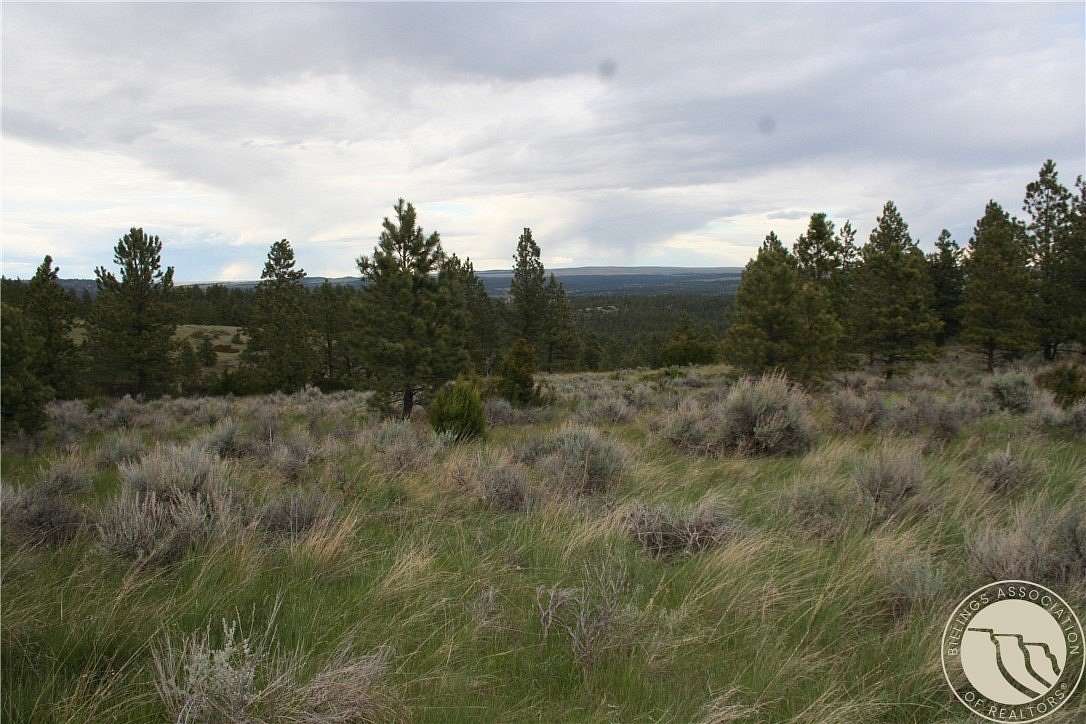 20 Acres of Recreational & Residential Land for Sale in Reed Point, Montana