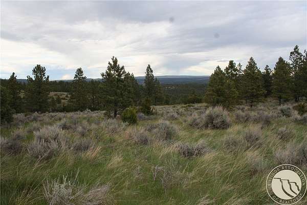 20 Acres of Recreational & Residential Land for Sale in Reed Point, Montana