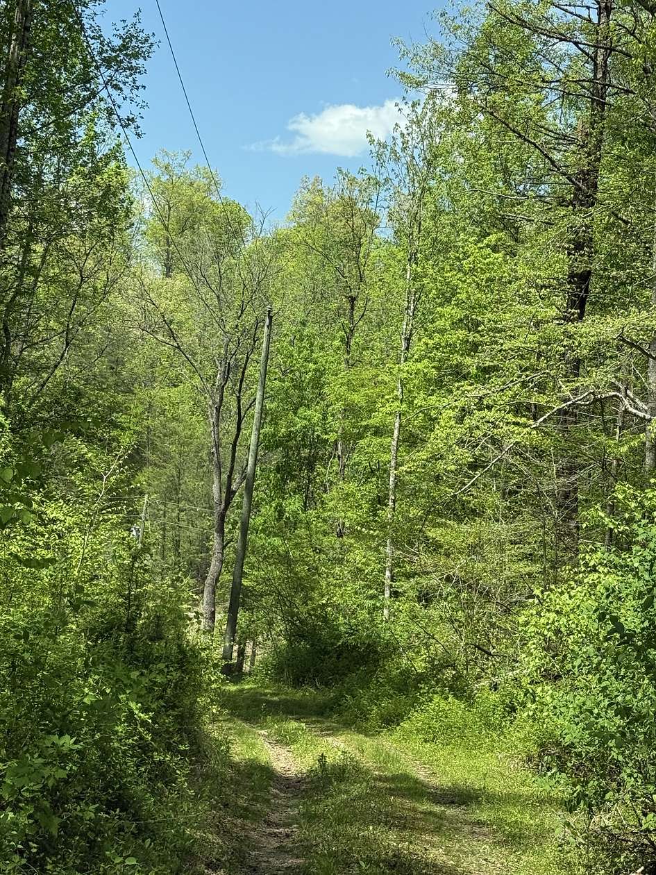 42 Acres of Recreational Land for Sale in Sevierville, Tennessee