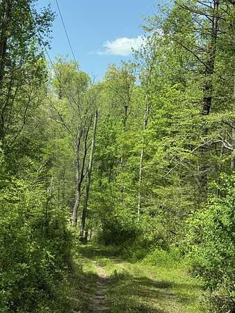 42 Acres of Recreational Land for Sale in Sevierville, Tennessee