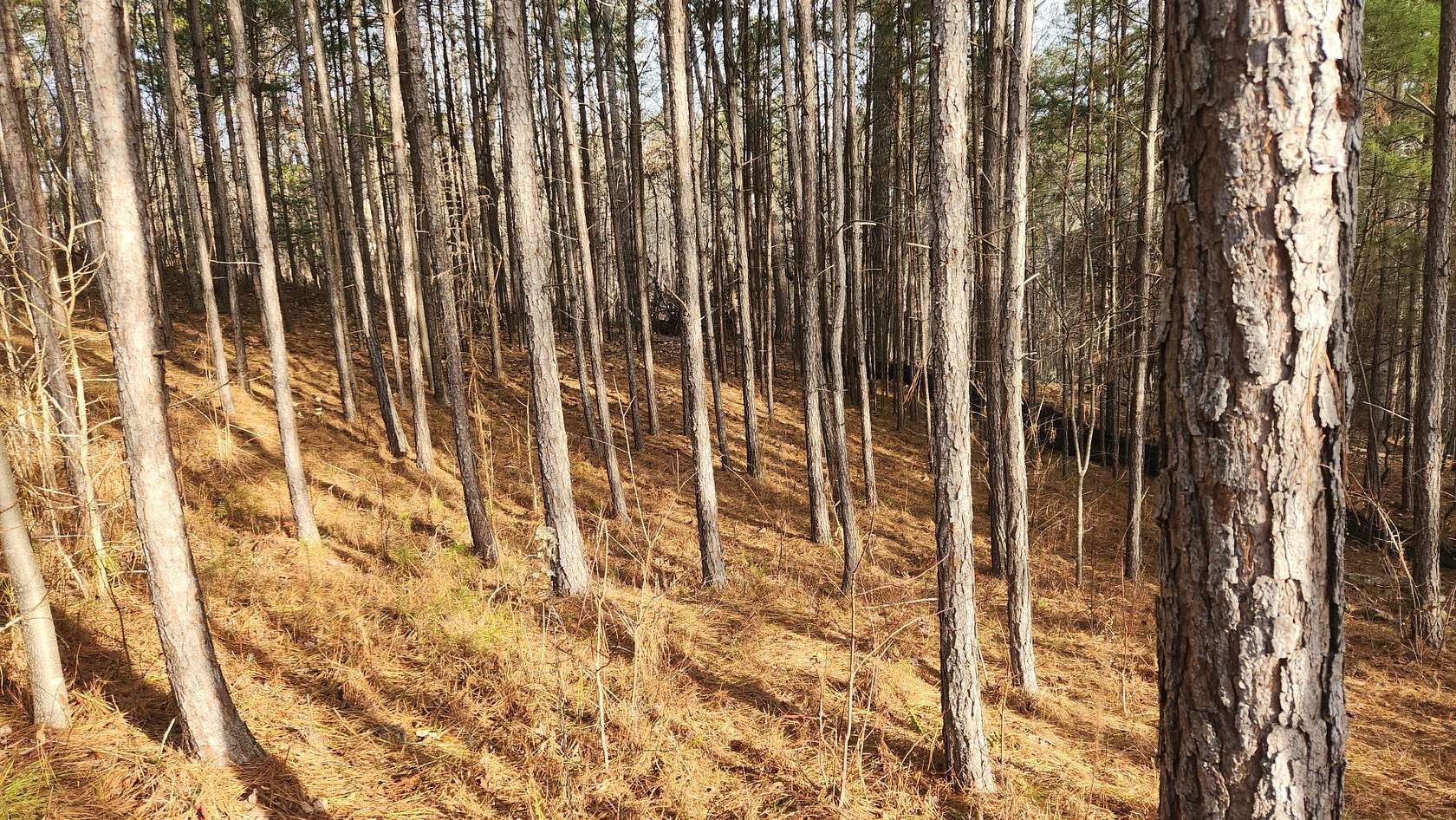 1.77 Acres of Residential Land for Sale in Canton, Georgia