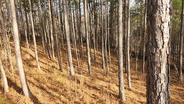 1.77 Acres of Residential Land for Sale in Canton, Georgia