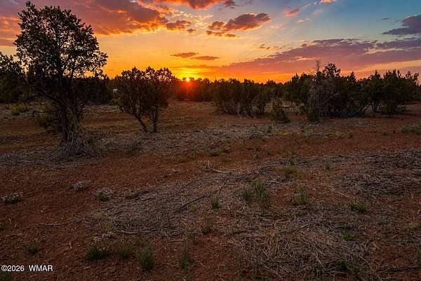 1.17 Acres of Residential Land for Sale in Vernon, Arizona