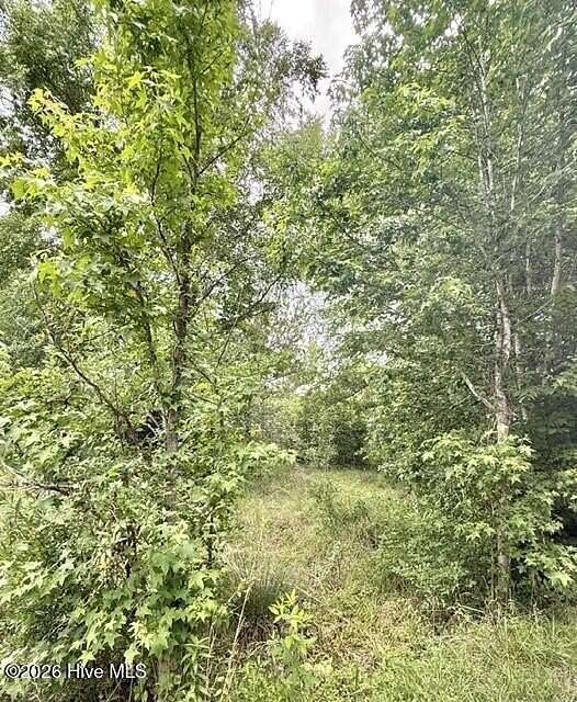 2.3 Acres of Residential Land for Sale in Harlem, Georgia