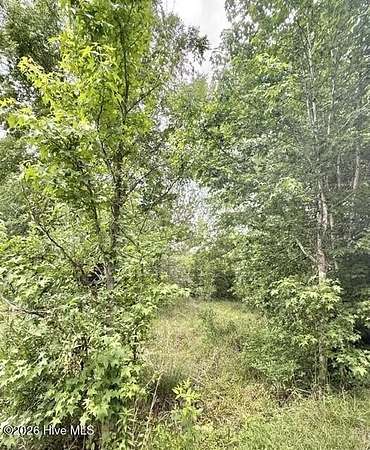 2.3 Acres of Residential Land for Sale in Harlem, Georgia
