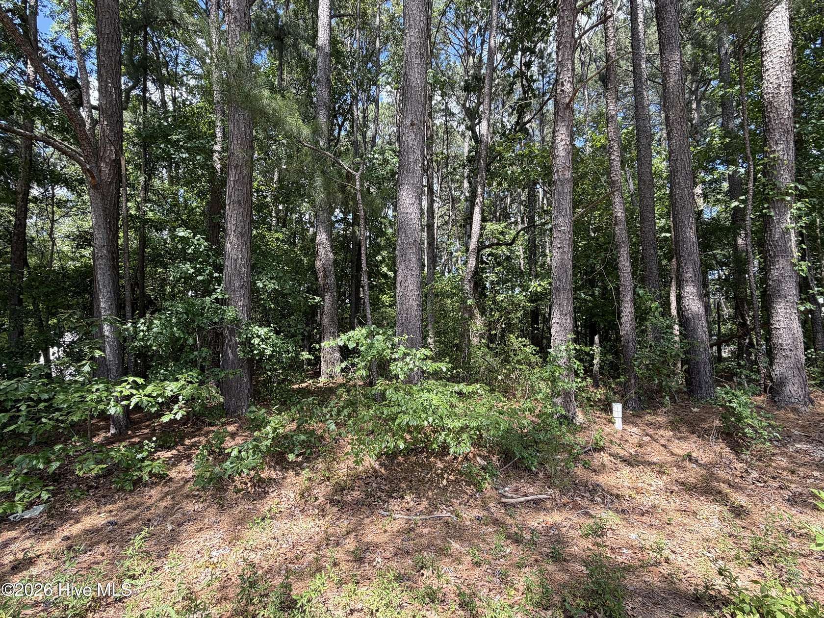 0.66 Acres of Land for Sale in Goldsboro, North Carolina