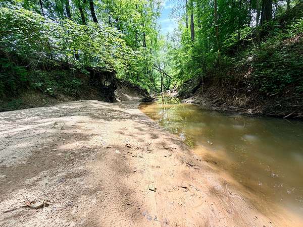219 Acres of Land for Sale in Booneville, Mississippi