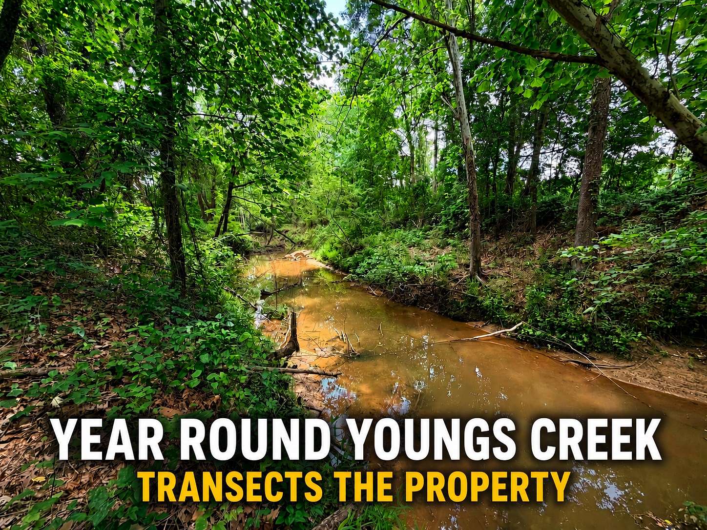 32 Acres of Land for Sale in Booneville, Mississippi
