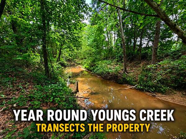 32 Acres of Land for Sale in Booneville, Mississippi