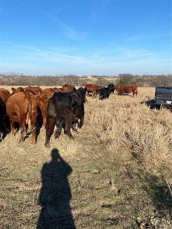 10.5 Acres of Land for Sale in Whitesboro, Texas