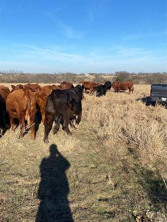 10.5 Acres of Agricultural Land for Sale in Whitesboro, Texas
