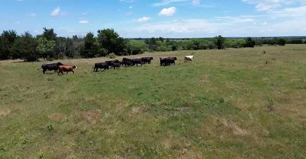 10.5 Acres of Agricultural Land for Sale in Whitesboro, Texas