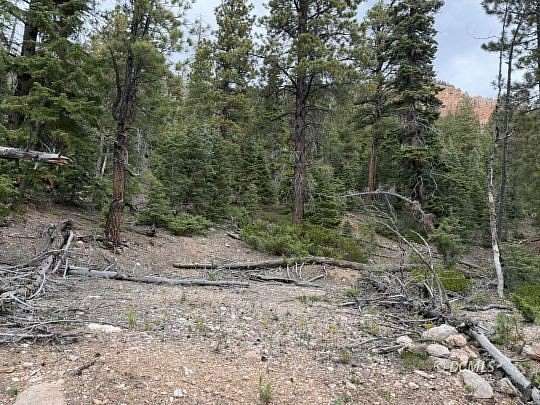 0.5 Acres of Residential Land for Sale in Duck Creek Village, Utah