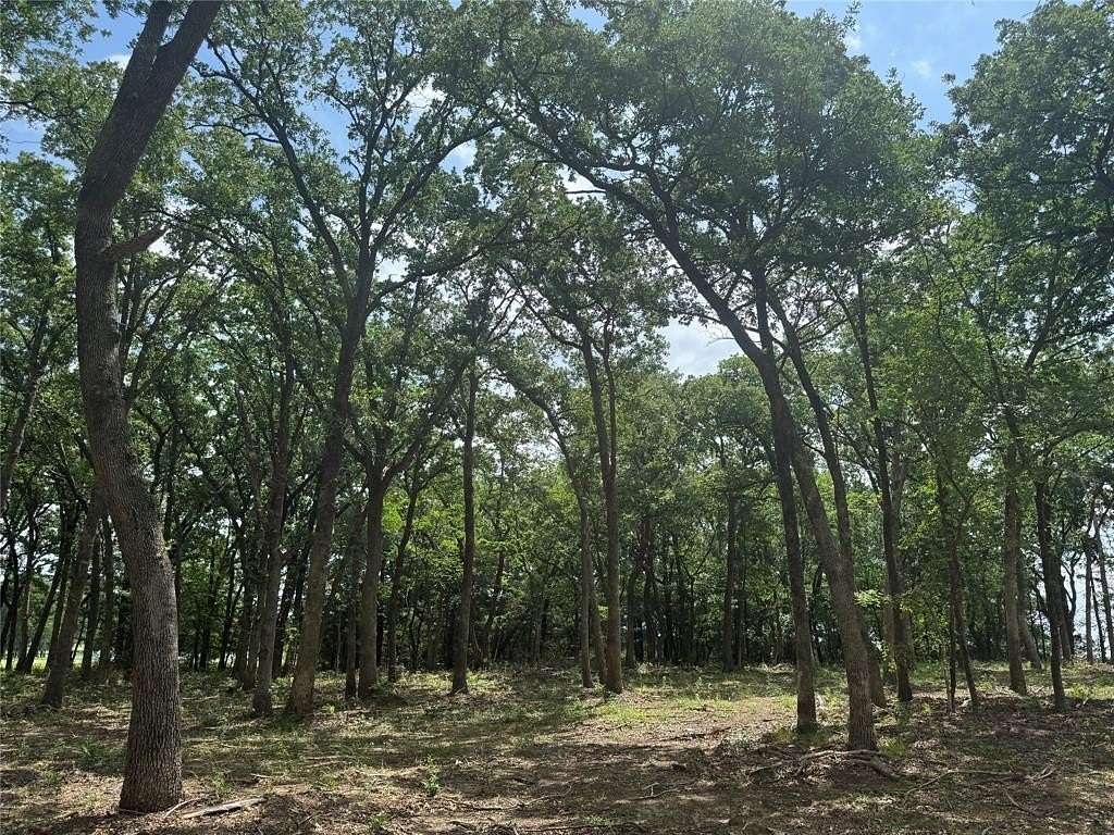 1 Acre of Residential Land for Sale in Pottsboro, Texas