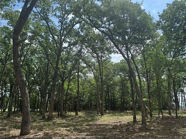 1 Acre of Residential Land for Sale in Pottsboro, Texas