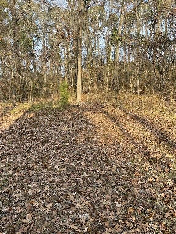 1.6 Acres of Residential Land for Sale in Goldonna, Louisiana