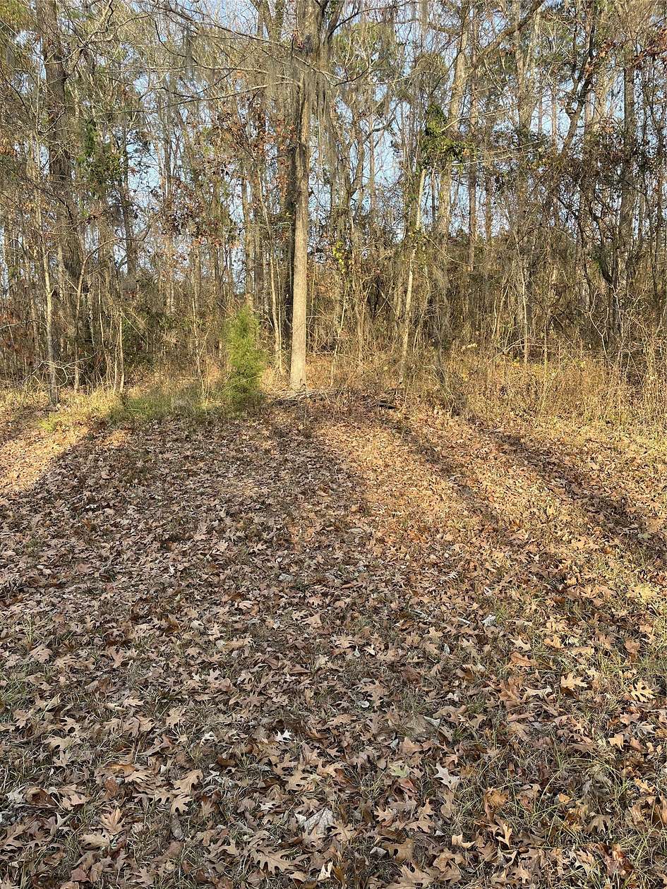 1.6 Acres of Residential Land for Sale in Goldonna, Louisiana