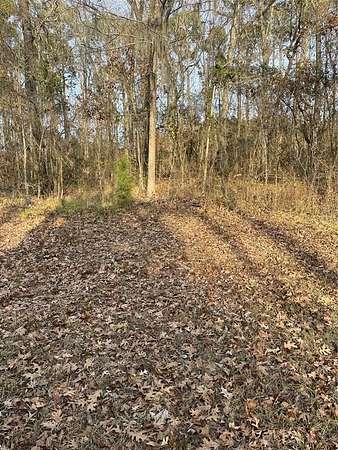 1.6 Acres of Residential Land for Sale in Goldonna, Louisiana
