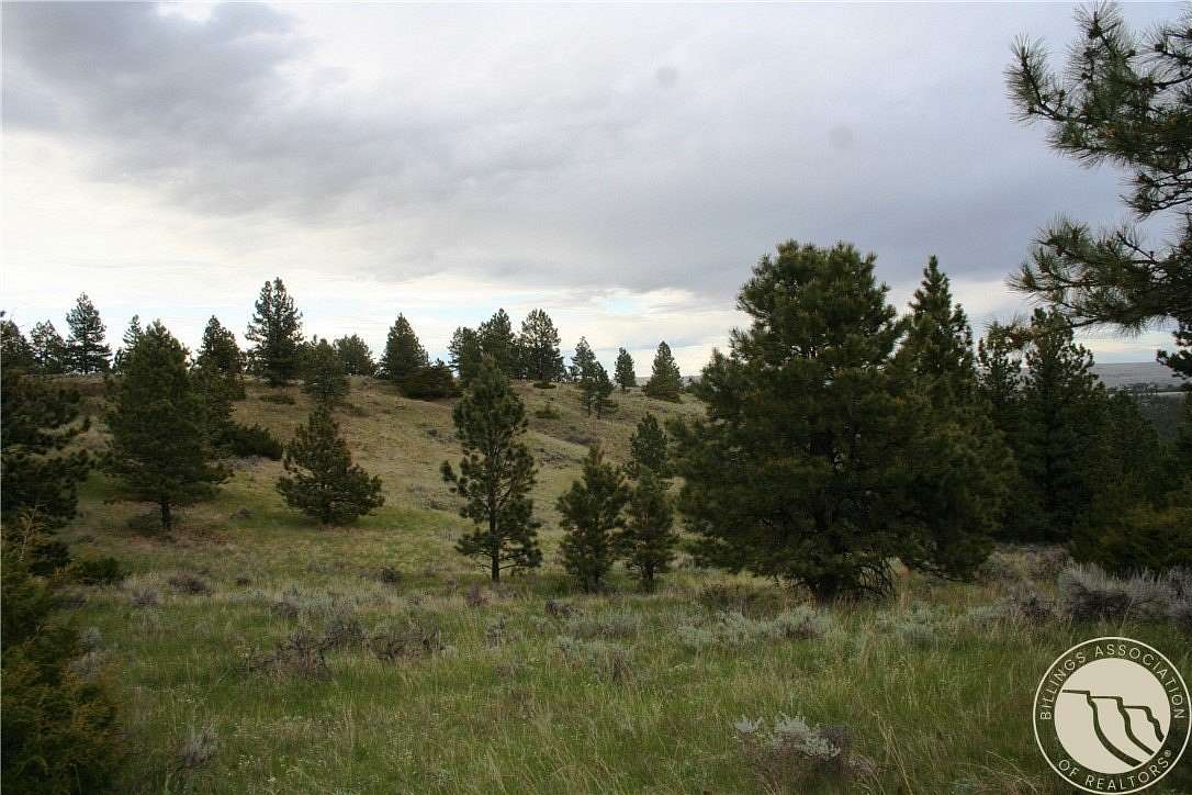 20 Acres of Recreational & Residential Land for Sale in Reed Point, Montana