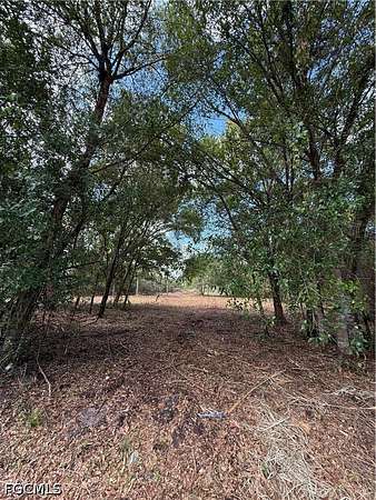 1 Acre of Residential Land for Sale in Clewiston, Florida