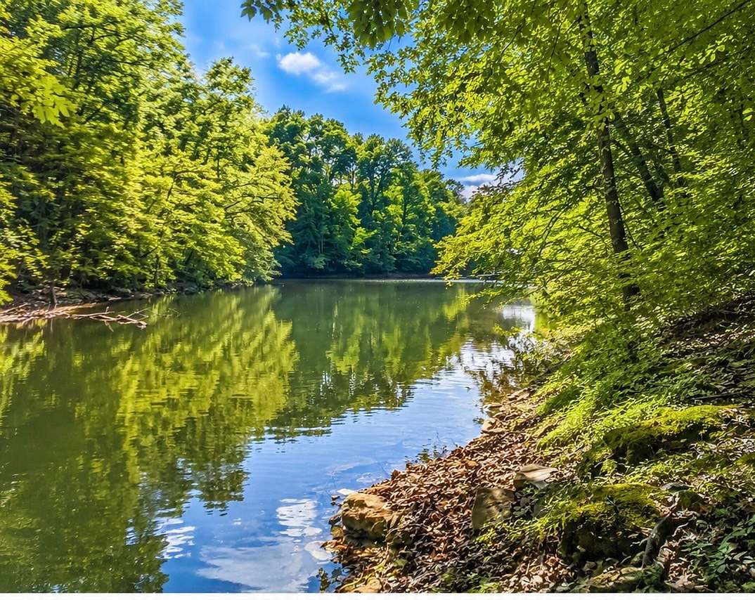0.57 Acres of Residential Land for Sale in Estill Springs, Tennessee