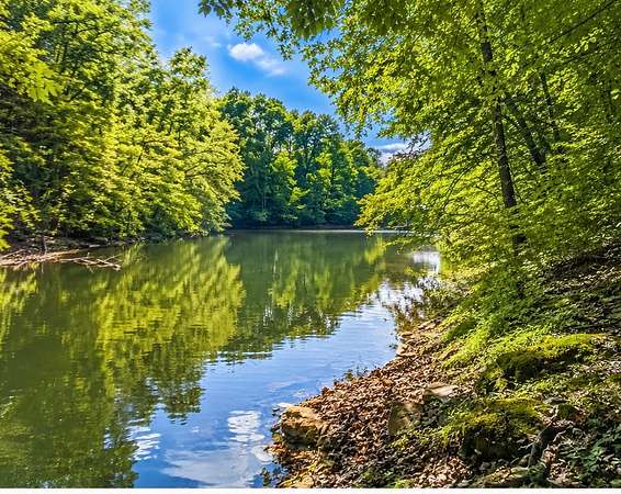 0.57 Acres of Residential Land for Sale in Estill Springs, Tennessee