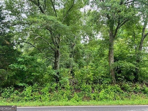 2 Acres of Land with Home for Sale in Locust Grove, Georgia