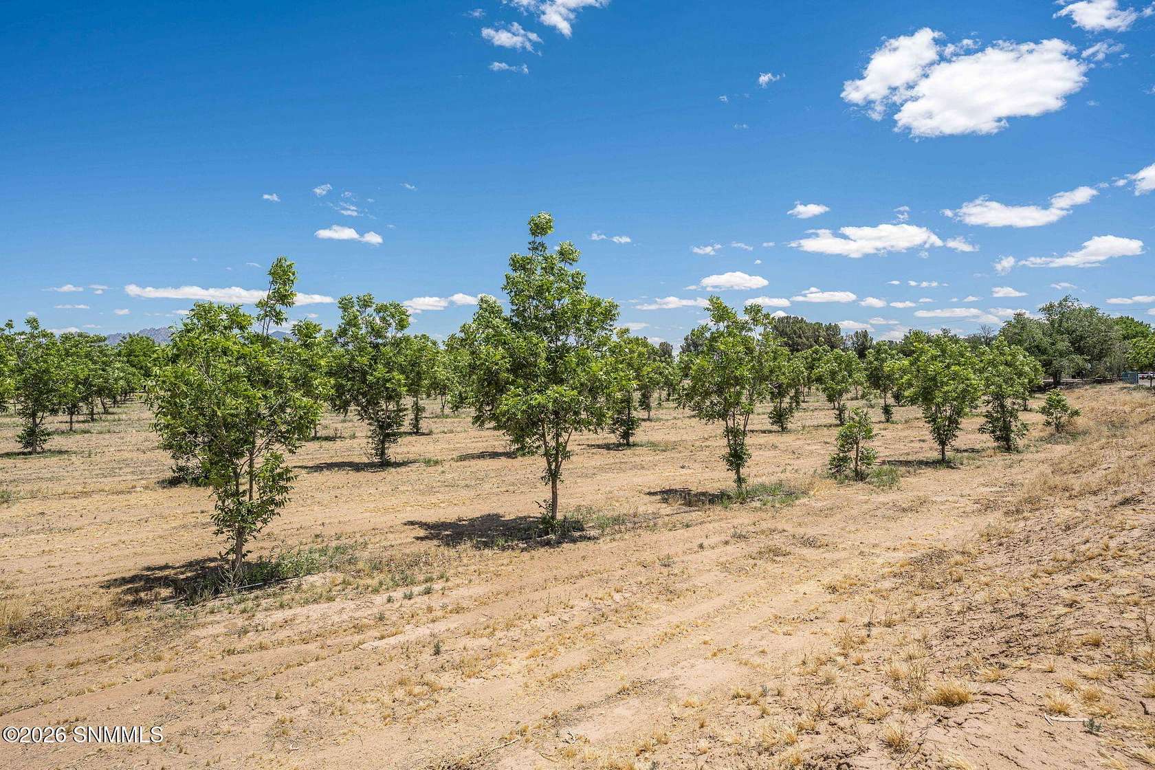 Land for Sale in Las Cruces, New Mexico