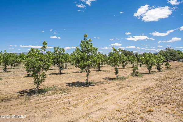 Land for Sale in Las Cruces, New Mexico